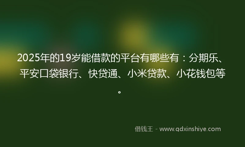 2025年的19岁能借款的平台有哪些有：分期乐、平安口袋银行、快贷通、小米贷款、小花钱包等。