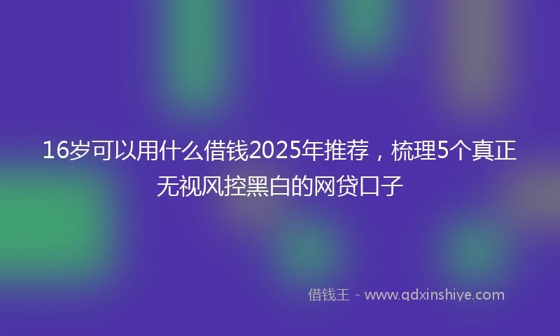 16岁可以用什么借钱2025年推荐，梳理5个真正无视风控黑白的网贷口子