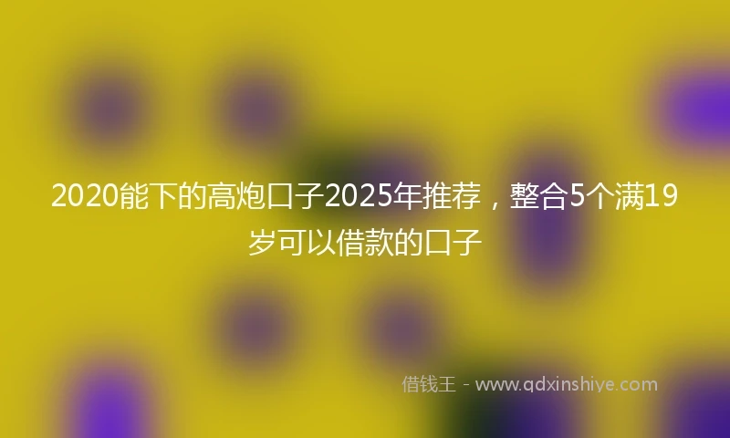 2020能下的高炮口子2025年推荐，整合5个满19岁可以借款的口子
