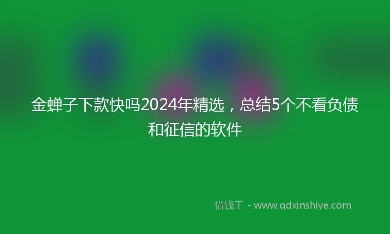 金蝉子下款快吗2024年精选，总结5个不看负债和征信的软件