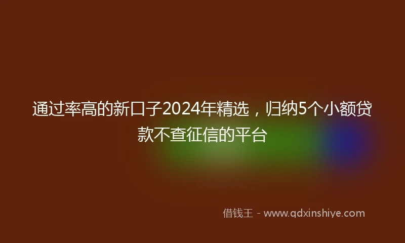 通过率高的新口子2024年精选，归纳5个小额贷款不查征信的平台