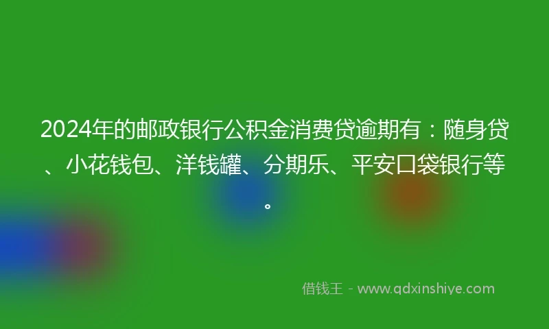 2024年的邮政银行公积金消费贷逾期有：随身贷、小花钱包、洋钱罐、分期乐、平安口袋银行等。
