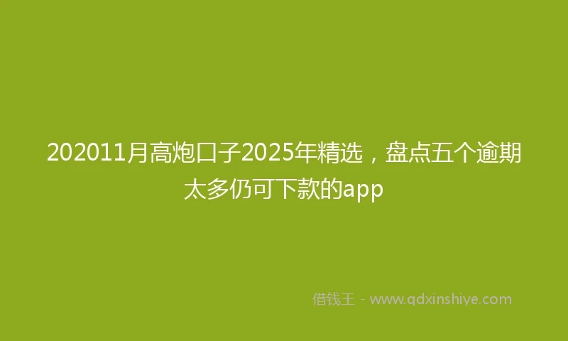 202011月高炮口子2025年精选，盘点五个逾期太多仍可下款的app