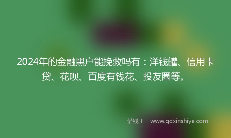 2024年的金融黑户能挽救吗有：洋钱罐、信用卡贷、花呗、百度有钱花、投友圈等。