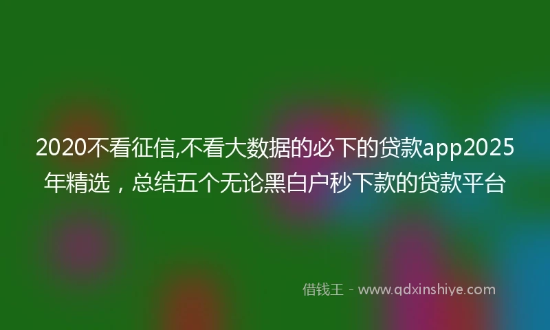 2020不看征信,不看大数据的必下的贷款app2025年精选，总结五个无论黑白户秒下款的贷款平台
