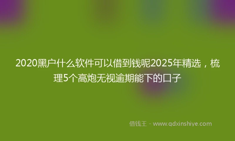 2020黑户什么软件可以借到钱呢2025年精选，梳理5个高炮无视逾期能下的口子