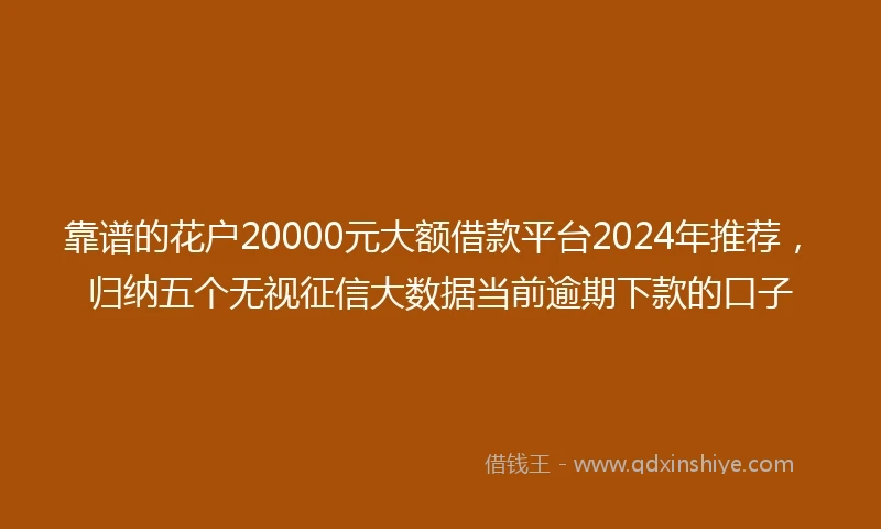 靠谱的花户20000元大额借款平台2024年推荐，归纳五个无视征信大数据当前逾期下款的口子