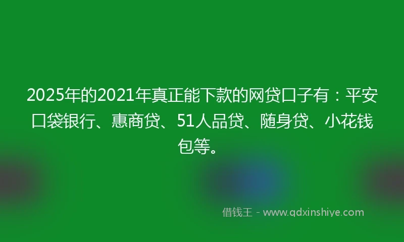 2025年的2021年真正能下款的网贷口子有：平安口袋银行、惠商贷、51人品贷、随身贷、小花钱包等。
