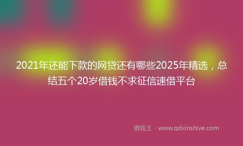 2021年还能下款的网贷还有哪些2025年精选，总结五个20岁借钱不求征信速借平台