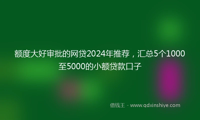 额度大好审批的网贷2024年推荐，汇总5个1000至5000的小额贷款口子