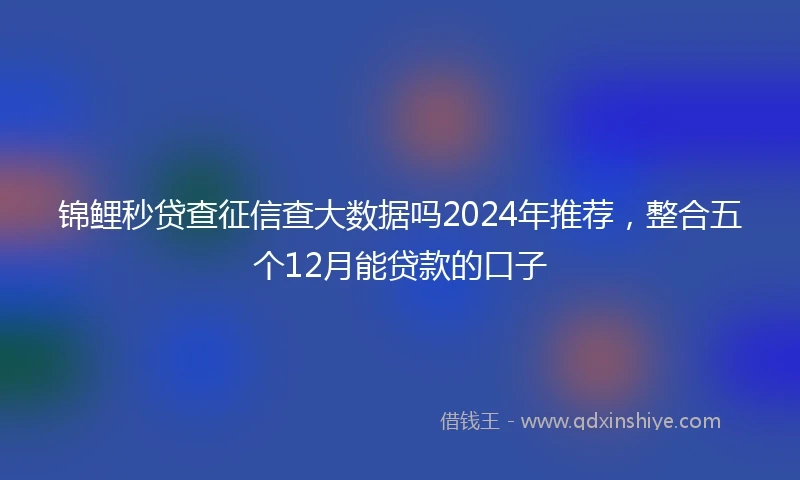 锦鲤秒贷查征信查大数据吗2024年推荐，整合五个12月能贷款的口子