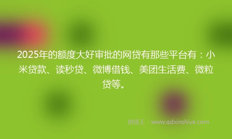 2025年的额度大好审批的网贷有那些平台有：小米贷款、读秒贷、微博借钱、美团生活费、微粒贷等。