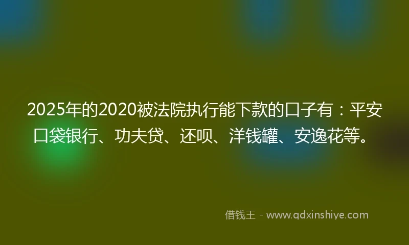 2025年的2020被法院执行能下款的口子有：平安口袋银行、功夫贷、还呗、洋钱罐、安逸花等。