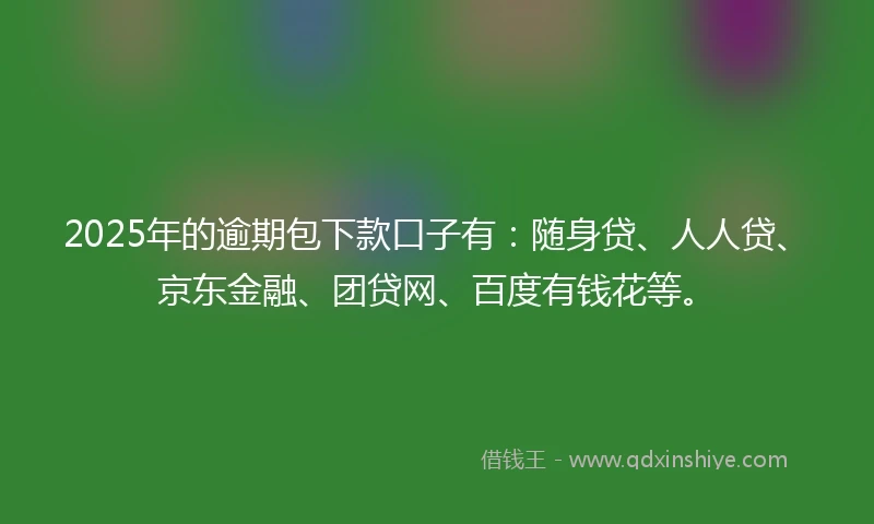 2025年的逾期包下款口子有：随身贷、人人贷、京东金融、团贷网、百度有钱花等。