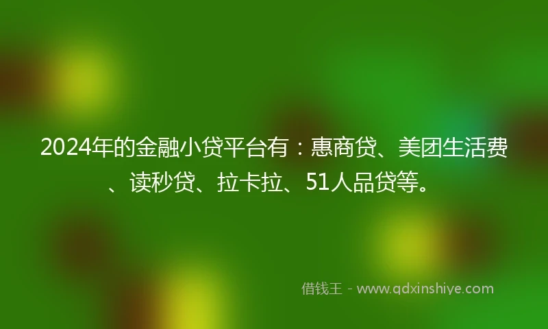 2024年的金融小贷平台有：惠商贷、美团生活费、读秒贷、拉卡拉、51人品贷等。