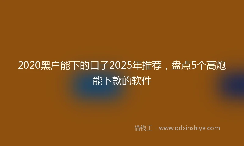 2020黑户能下的口子2025年推荐，盘点5个高炮能下款的软件