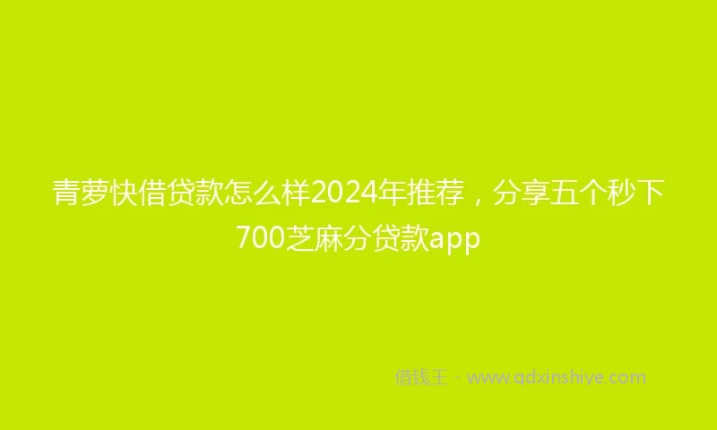 青萝快借贷款怎么样2024年推荐，分享五个秒下700芝麻分贷款app