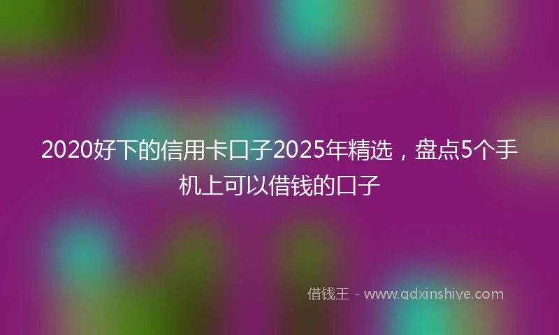 2020好下的信用卡口子2025年精选，盘点5个手机上可以借钱的口子