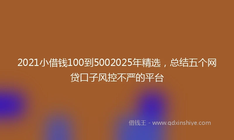 2021小借钱100到5002025年精选，总结五个网贷口子风控不严的平台