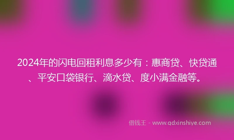 2024年的闪电回租利息多少有：惠商贷、快贷通、平安口袋银行、滴水贷、度小满金融等。