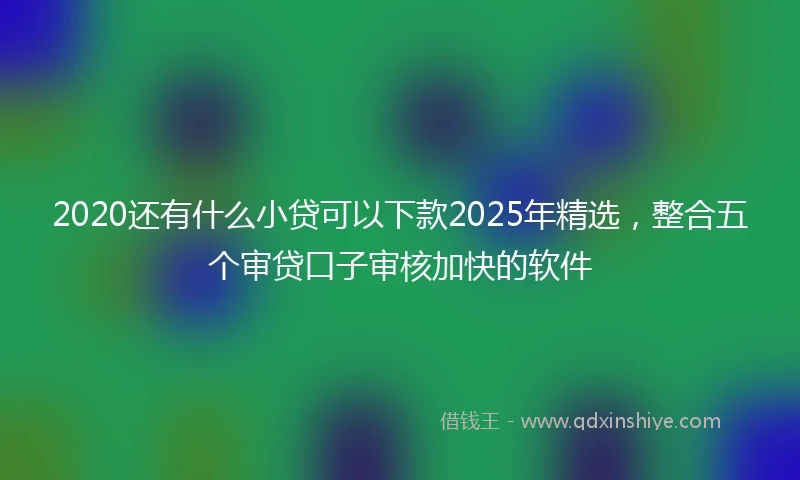 2020还有什么小贷可以下款2025年精选，整合五个审贷口子审核加快的软件