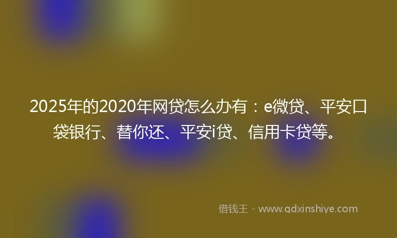 2025年的2020年网贷怎么办有：e微贷、平安口袋银行、替你还、平安i贷、信用卡贷等。