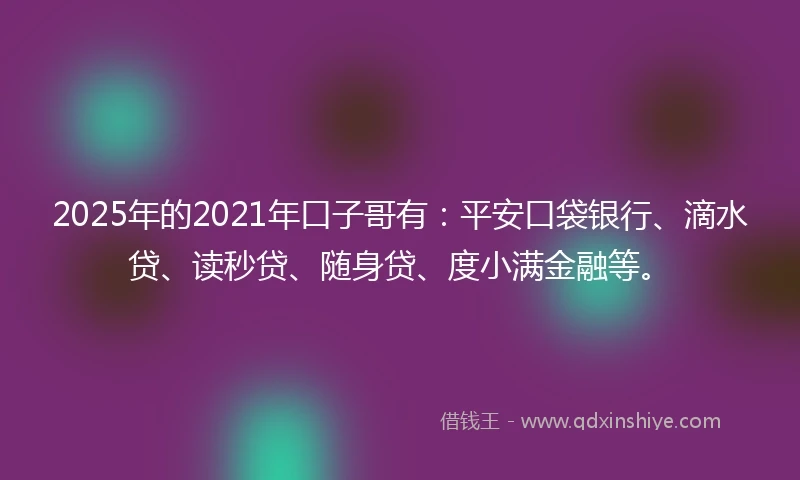 2025年的2021年口子哥有：平安口袋银行、滴水贷、读秒贷、随身贷、度小满金融等。