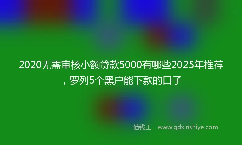 2020无需审核小额贷款5000有哪些2025年推荐，罗列5个黑户能下款的口子
