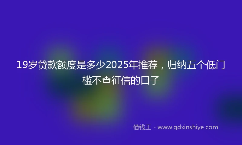 19岁贷款额度是多少2025年推荐，归纳五个低门槛不查征信的口子