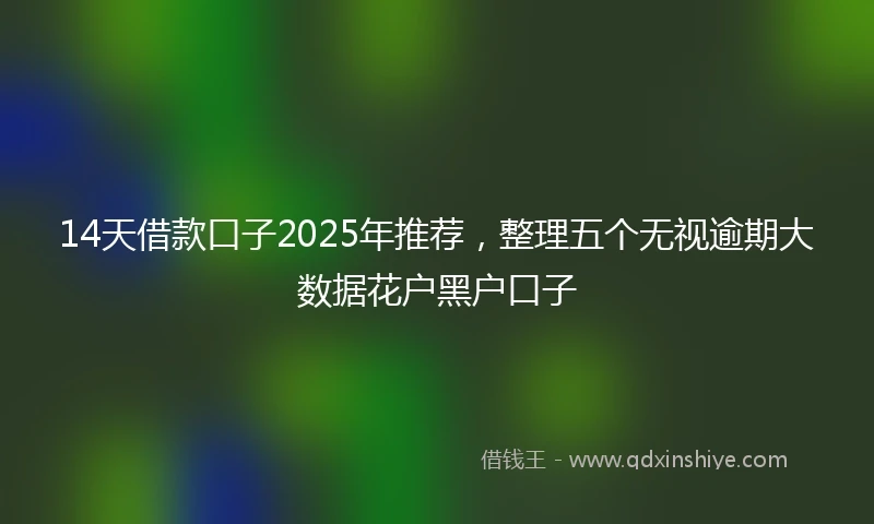 14天借款口子2025年推荐，整理五个无视逾期大数据花户黑户口子