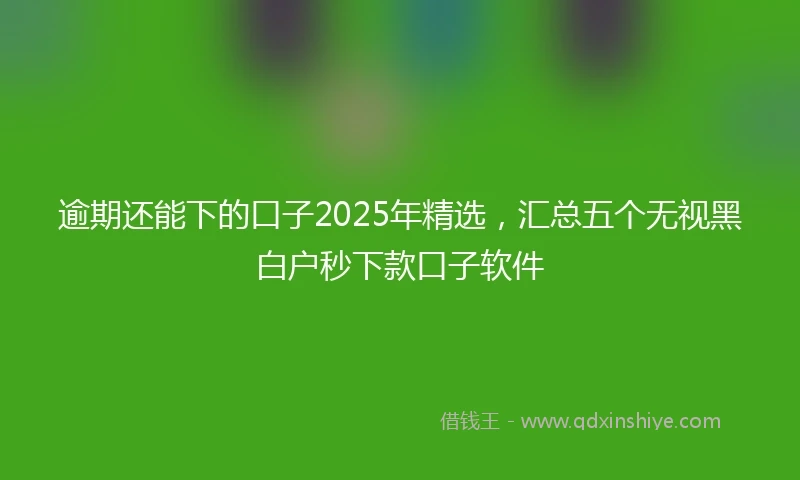 逾期还能下的口子2025年精选，汇总五个无视黑白户秒下款口子软件