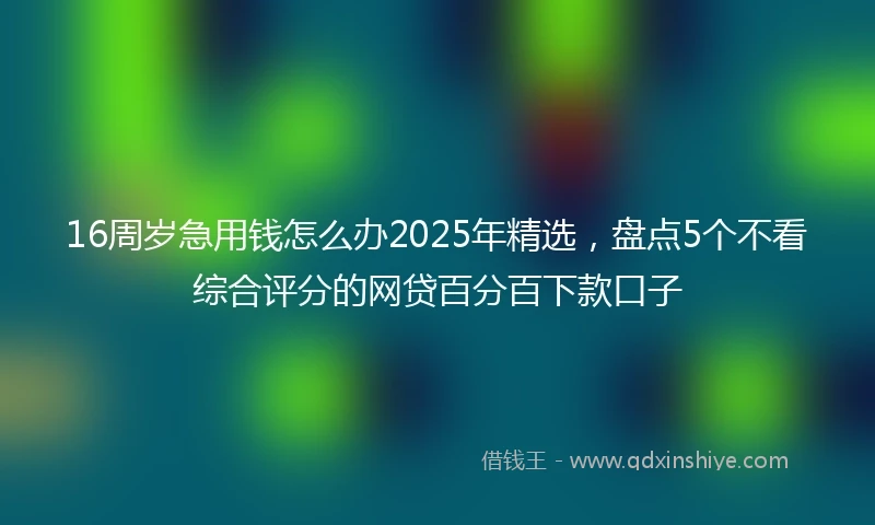 16周岁急用钱怎么办2025年精选，盘点5个不看综合评分的网贷百分百下款口子