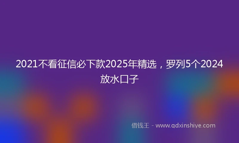 2021不看征信必下款2025年精选，罗列5个2024放水口子
