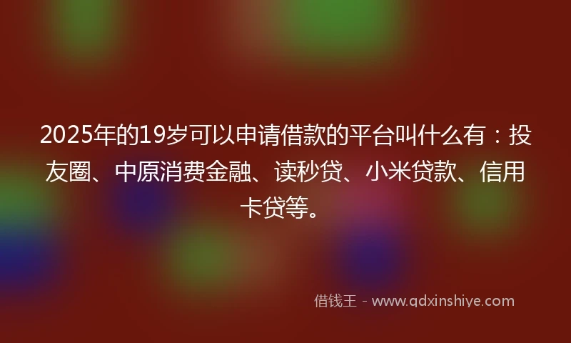 2025年的19岁可以申请借款的平台叫什么有：投友圈、中原消费金融、读秒贷、小米贷款、信用卡贷等。