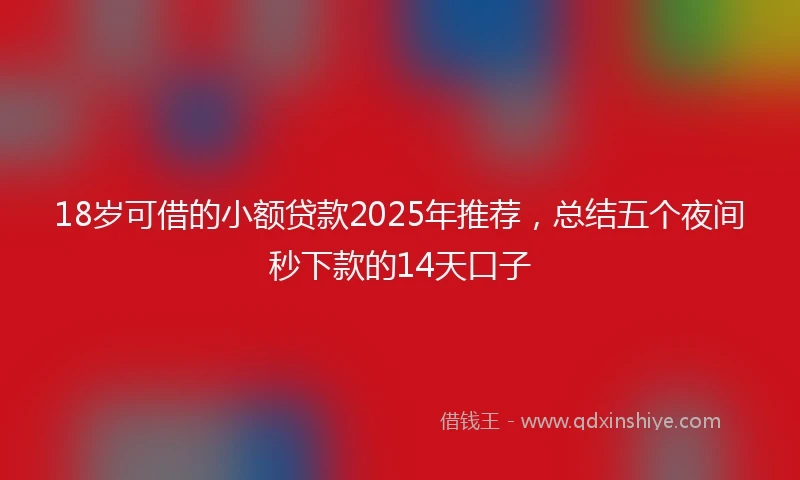 18岁可借的小额贷款2025年推荐，总结五个夜间秒下款的14天口子