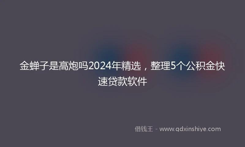 金蝉子是高炮吗2024年精选，整理5个公积金快速贷款软件