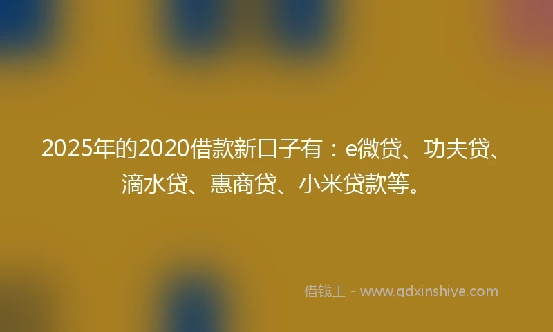 2025年的2020借款新口子有：e微贷、功夫贷、滴水贷、惠商贷、小米贷款等。