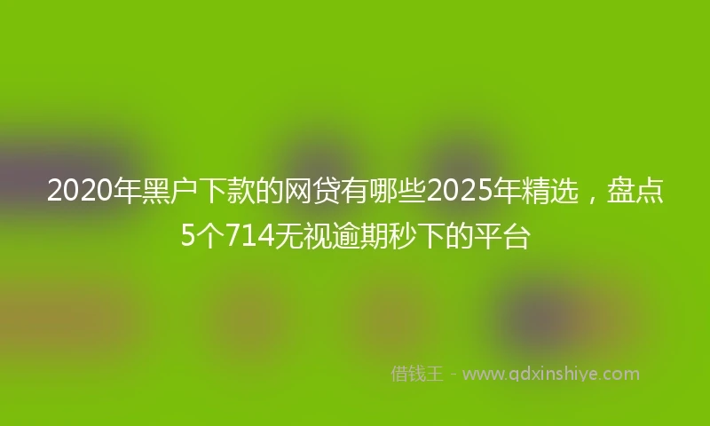 2020年黑户下款的网贷有哪些2025年精选，盘点5个714无视逾期秒下的平台