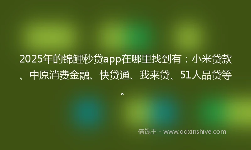 2025年的锦鲤秒贷app在哪里找到有：小米贷款、中原消费金融、快贷通、我来贷、51人品贷等。
