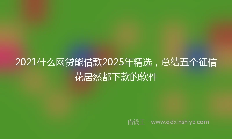 2021什么网贷能借款2025年精选，总结五个征信花居然都下款的软件
