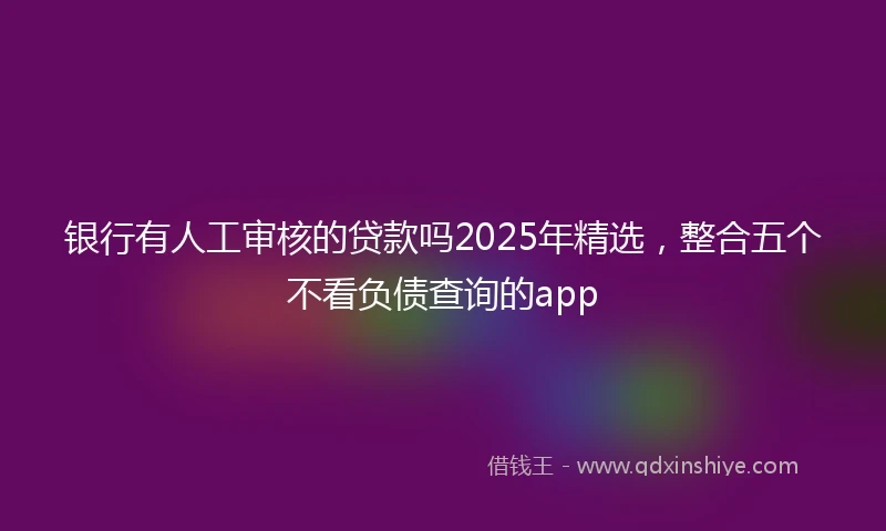银行有人工审核的贷款吗2025年精选，整合五个不看负债查询的app