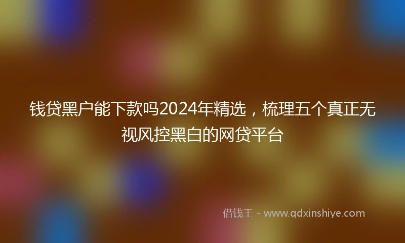 钱贷黑户能下款吗2024年精选，梳理五个真正无视风控黑白的网贷平台