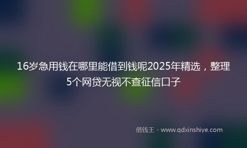 16岁急用钱在哪里能借到钱呢2025年精选，整理5个网贷无视不查征信口子