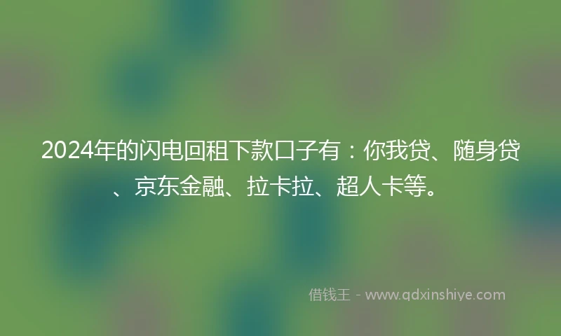 2024年的闪电回租下款口子有：你我贷、随身贷、京东金融、拉卡拉、超人卡等。