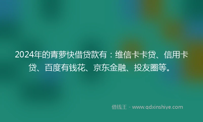 2024年的青萝快借贷款有：维信卡卡贷、信用卡贷、百度有钱花、京东金融、投友圈等。