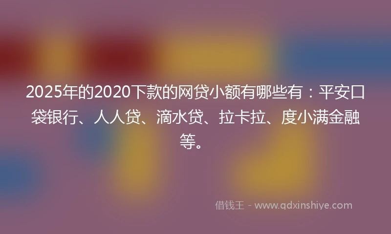 2025年的2020下款的网贷小额有哪些有：平安口袋银行、人人贷、滴水贷、拉卡拉、度小满金融等。