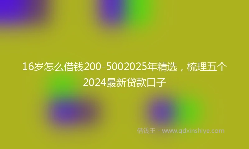 16岁怎么借钱200-5002025年精选，梳理五个2024最新贷款口子