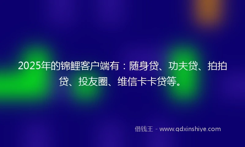 2025年的锦鲤客户端有：随身贷、功夫贷、拍拍贷、投友圈、维信卡卡贷等。
