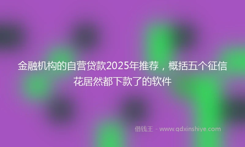 金融机构的自营贷款2025年推荐，概括五个征信花居然都下款了的软件