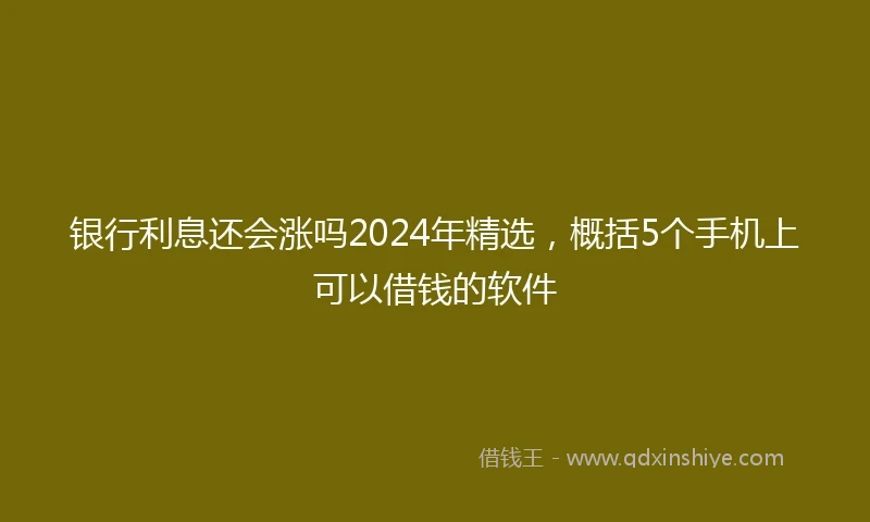 银行利息还会涨吗2024年精选，概括5个手机上可以借钱的软件
